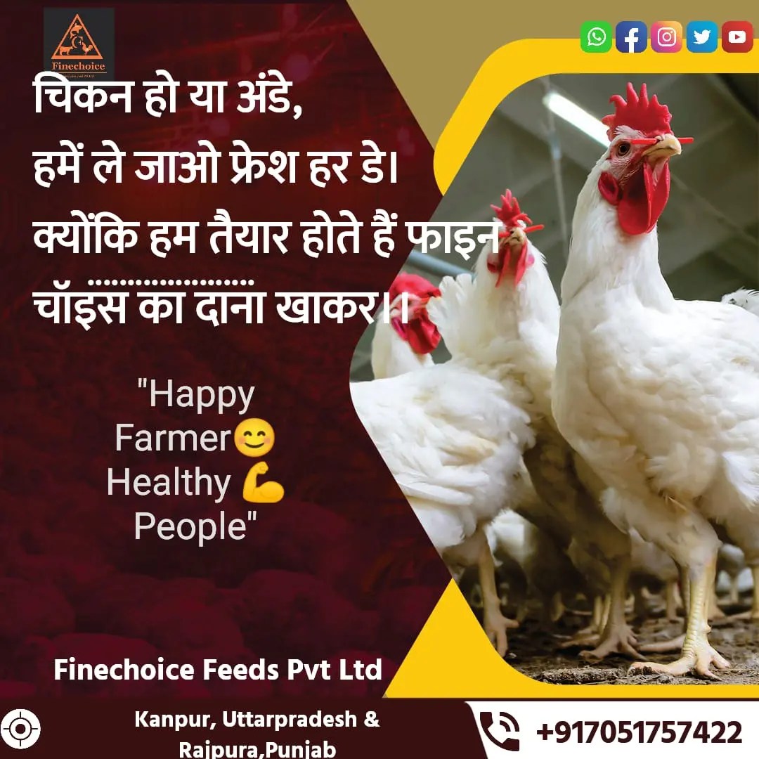 343973593_107734058971653_4747357584728017671_n