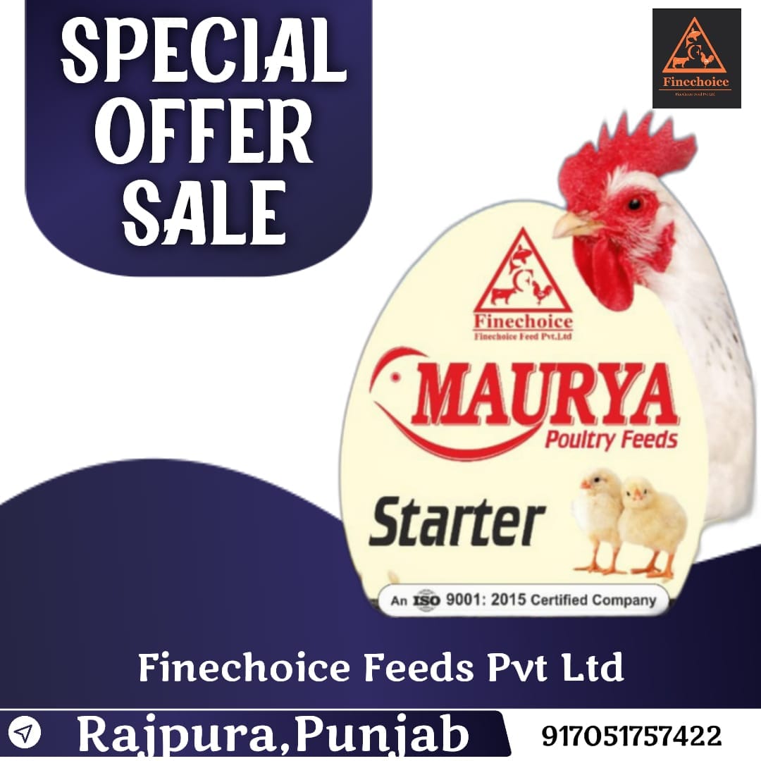 368690327_222821407397664_7906907175024507489_n